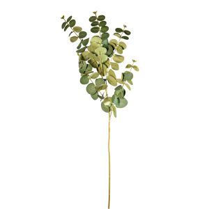 RAMO EUCALIPTUS X5 NATURAL CM 95   (Cod. 37980-01)