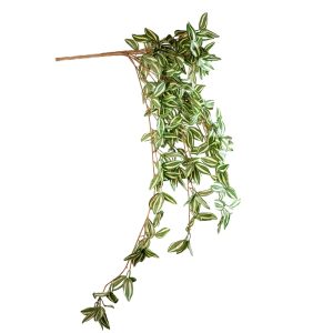 BUSH TRADESCANTHIA X12 CM.110  (Cod. 37977-01)