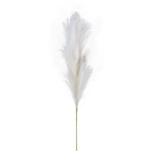 RAMO PAMPAS CM 110 crema (Cod. 38343-01)