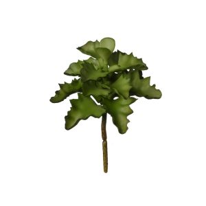 PIANTA GRASSA 15 CM  (Cod. 38348-01)