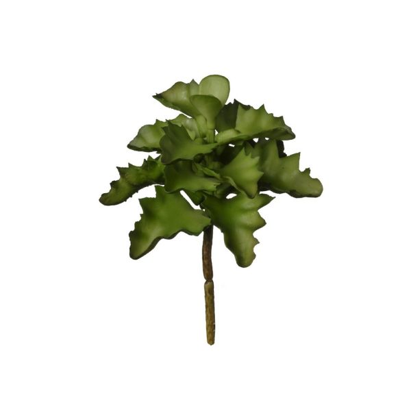 PIANTA GRASSA 15 CM  (Cod. 38348-01)