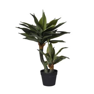 PIANTA ALOE CON VASO 65 CM  (Cod. 38346-01)