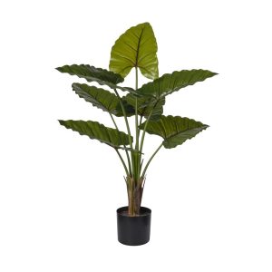 PIANTA TARO CON 7/FOGLIE 90 CM  (Cod. 38347-01)
