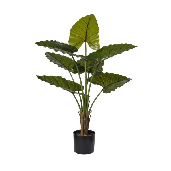 PIANTA TARO CON 7/FOGLIE 90 CM  (Cod. 38347-01)