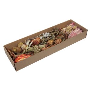 BOX SECCO ESOTICO ASSORTITO 26 PZ  (Cod. 38418-01)