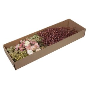 BOX FIORI SECCHI ASSORTITI 150 GR.  (Cod. 38419-01)
