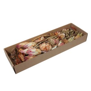 BOX SECCO ESOTICO ASSORTITO 30 PZ.  (Cod. 38420-01)