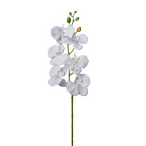 RAMO ORCHIDEA 69 CM  crema (Cod. 38507-02)