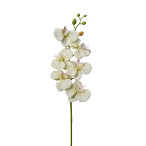 RAMO ORCHIDEA 69 CM  crema-verde (Cod. 38507-03)