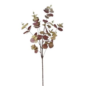 RAMO EUCALIPTO 27X84 CM marrone (Cod. 30935-01)