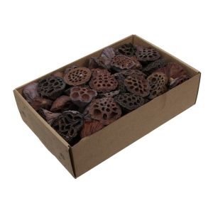 80 PZ. LOTUS NATURALE 2-4 CM  (Cod. 38413-01)