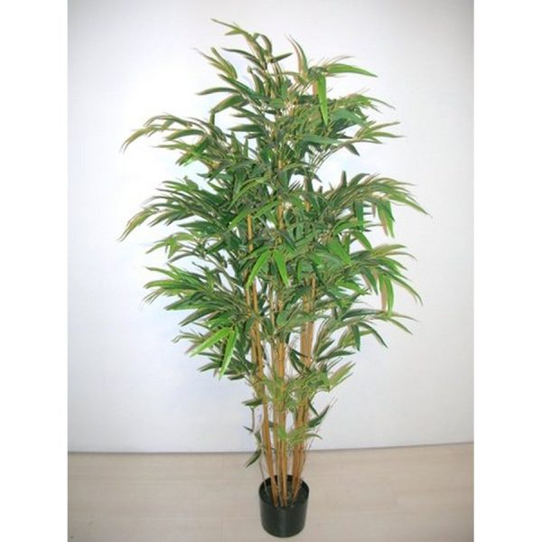 PIANTA BAMBOO IN VASO CM150 CON 1092 FOGLIE  (Cod. 35570-01)