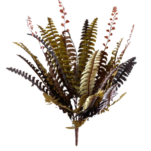 BUSH FELCE X26 FOGLIE H50/60 CM  (Cod. 24326-01)