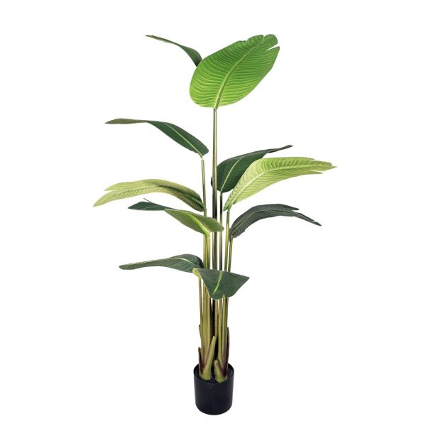 STERLIZIA 10 FOGLIE H160 CM  (Cod. 38764-01)