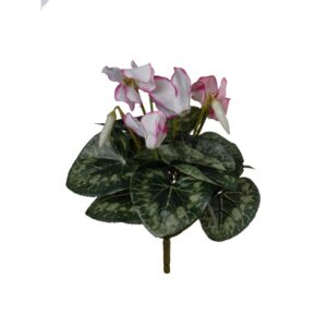 MAZZO CICLAMINO 28 CM bianco-rosa (Cod. 38898-03)