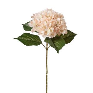 RAMO ORTENSIA 65 CM beige (Cod. 38903-01)