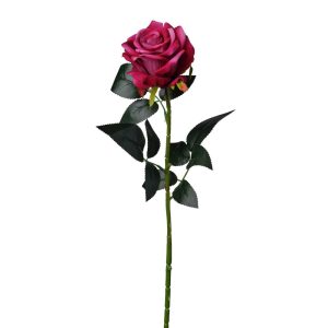 ROSA SINGOLA VELVET  16X74 CM beauty (Cod. 26615-02)