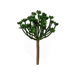 PIANTA GRASSA 20 CM  (Cod. 38900-01)