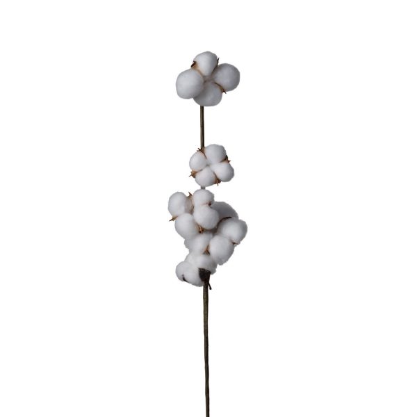 RAMO COTONE X5 CM65  (Cod. 38899-01)