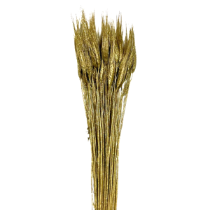 GRANO BAFFO O/A GLITTER BRILLANTE MAZZO PZ.50 oro (Cod. 8478-03)