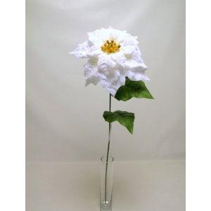 STELLA DI NATALE SPRAY SINGOLA 70 CM  crema (Cod. 24548-02)