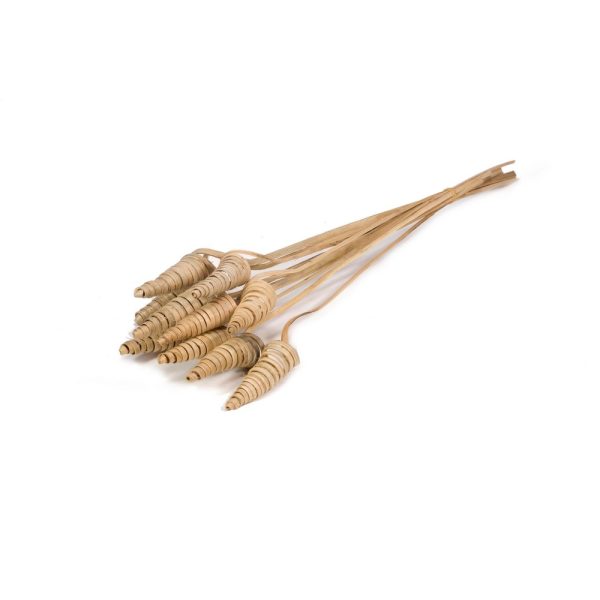 CANE CONE NATURALE 10 PZ.  (Cod. 3429-01)