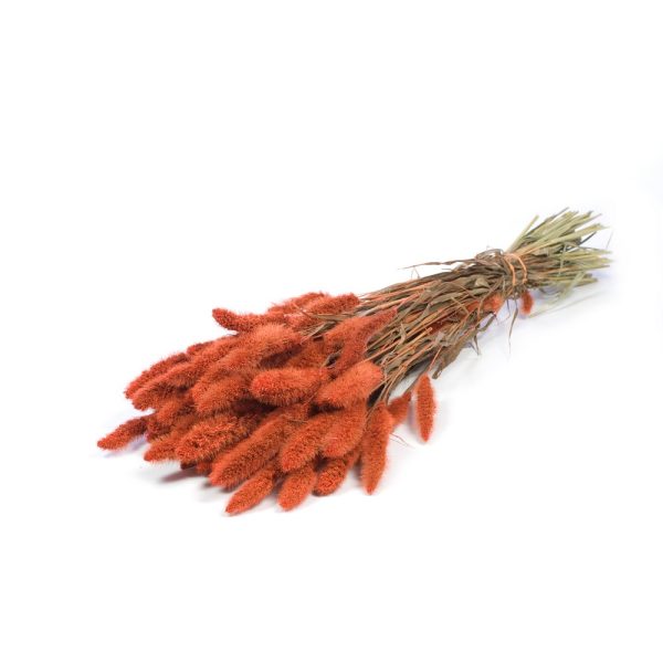 MAZZO SETAREA MISTY arancione-bruciato (Cod. 39171-01)
