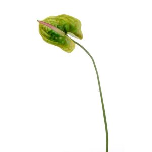 RAMO ANTHURIUM CM 72 verde (Cod. 33513-01)