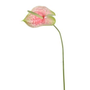 RAMO ANTHURIUM CM 72 rosa-verde (Cod. 33513-05)