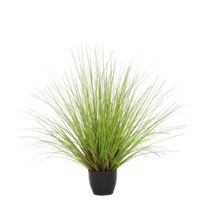 PIANTA VERDE IN VASO H58 CM  (Cod. 38792-01)