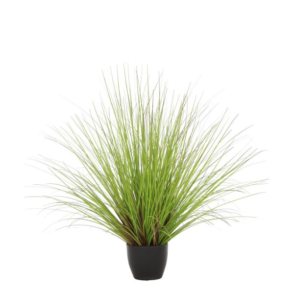 PIANTA VERDE IN VASO H58 CM  (Cod. 38792-01)