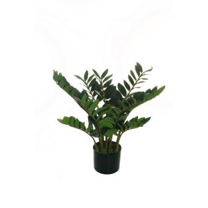 PIANTA ZAMIOCULCAS ZAMIIFOLIA 192 FOGLIE REAL TOUCH 70CM  (Cod. 38996-01)