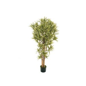 PIANTA NEW DRACAENA REFLEX 150 CM  (Cod. 39003-01)