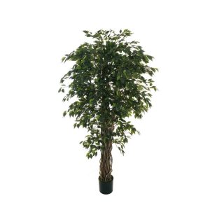 FICUS BENJAMIN 3648 FOGLIE 180 CM MINI IN VASO DA D19 verde---con-tronco-vero (Cod. 39009-01)