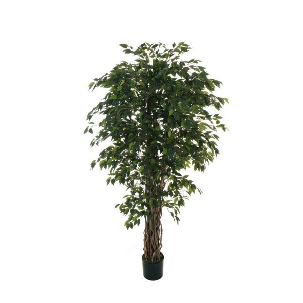 FICUS BENJAMIN 3648 FOGLIE 180 CM MINI IN VASO DA D19 verde---con-tronco-vero (Cod. 39009-01)
