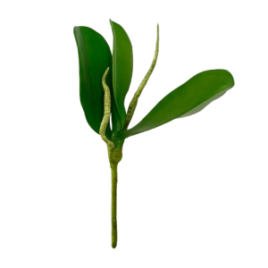 FOGLIE DI ORCHIDEA PHALENO X3 23 CM  (Cod. 21637-01)