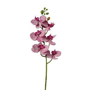 RAMO ORCHIDEA 69 CM  rosa (Cod. 38507-05)
