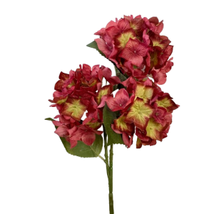 RAMO ORTENSIA X3 54 CM beauty (Cod. 39267-02)