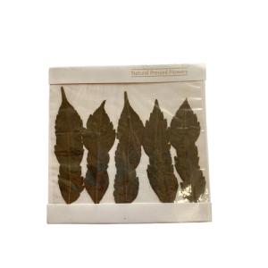  FIORI  NATURALI PRESSATI ESSICATI tipologia-1 (Cod. 6003-01)