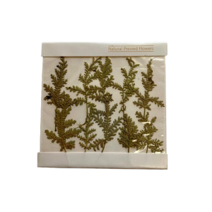  FIORI  NATURALI PRESSATI ESSICATI tipologia-2 (Cod. 6003-02)