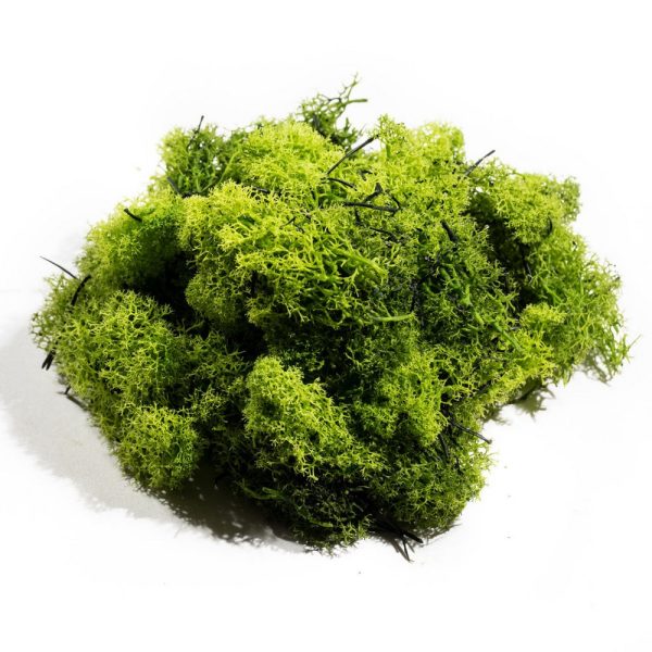 MUSCHIO LICHENE NORDICO STABILIZZATO 500 GR verde-chiaro (Cod. 39335-02)