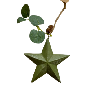 DECORAZIONI NATALIZIE DA APPENDERE 10 CM stella (Cod. 39290-05)