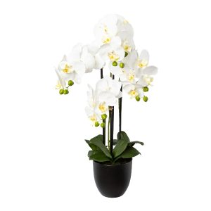 ORCHIDEA IN VASO 69 CM  (Cod. 39614-01)