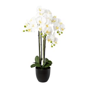 ORCHIDEA IN VASO 83 CM  (Cod. 39615-01)