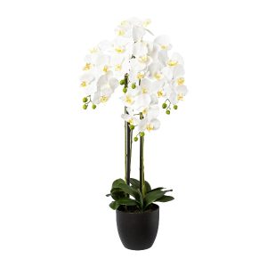 ORCHIDEA IN VASO 99 CM  (Cod. 39616-01)