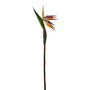 RAMO STRELIZIA H 86 CM arancione (Cod. 30931-01)