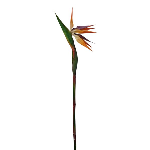 RAMO STRELIZIA H 86 CM arancione (Cod. 30931-01)