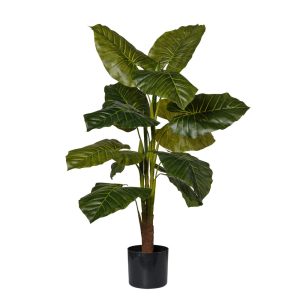 PIANTA POTHOS IN VASO H90 CM  (Cod. 39401-01)