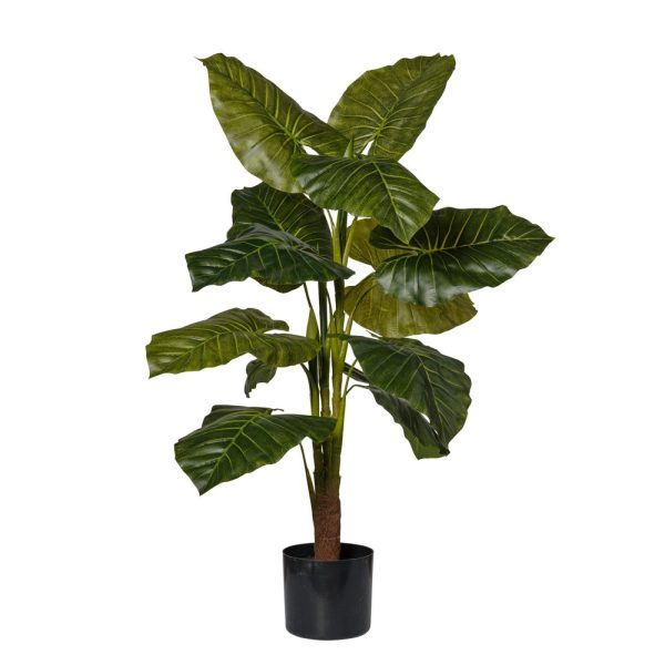 PIANTA POTHOS IN VASO H90 CM  (Cod. 39401-01)