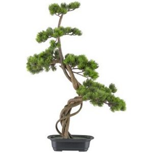 BONSAI 70X45 CM  (Cod. 39620-01)